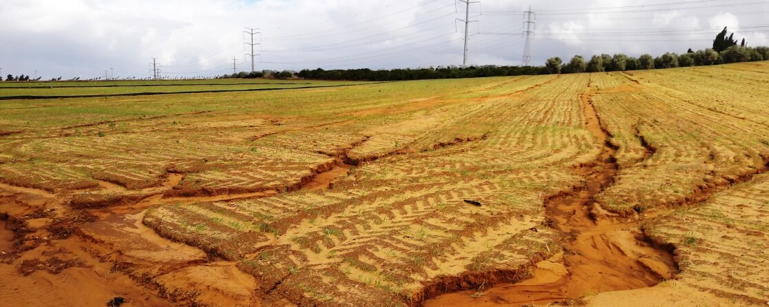 גשמים כאלה מזיקים לחקלאות