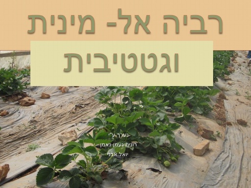 רבייה וגטטיבית בצמח