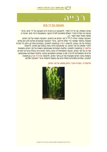 האבקה על ידי מים