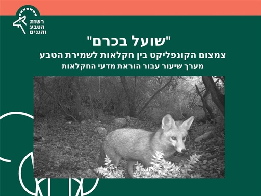 הקונפליקט בין חקלאות לחיות הבר- מניעת נזקים