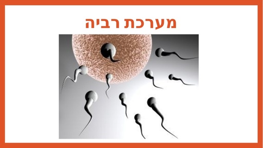 רבייה בבעלי חיים והתמקדות במאפייני רבייה בכלבים